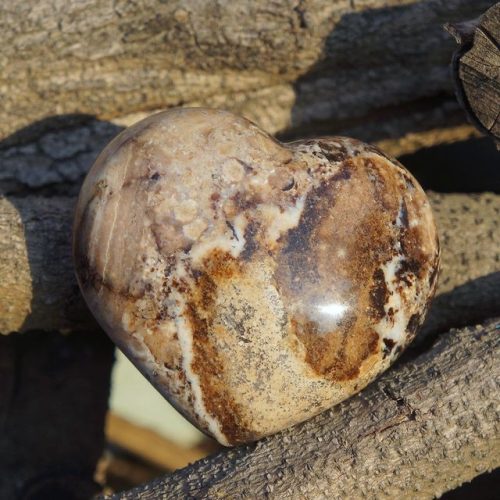 Alternative view of 豹紋款 木化石愛心