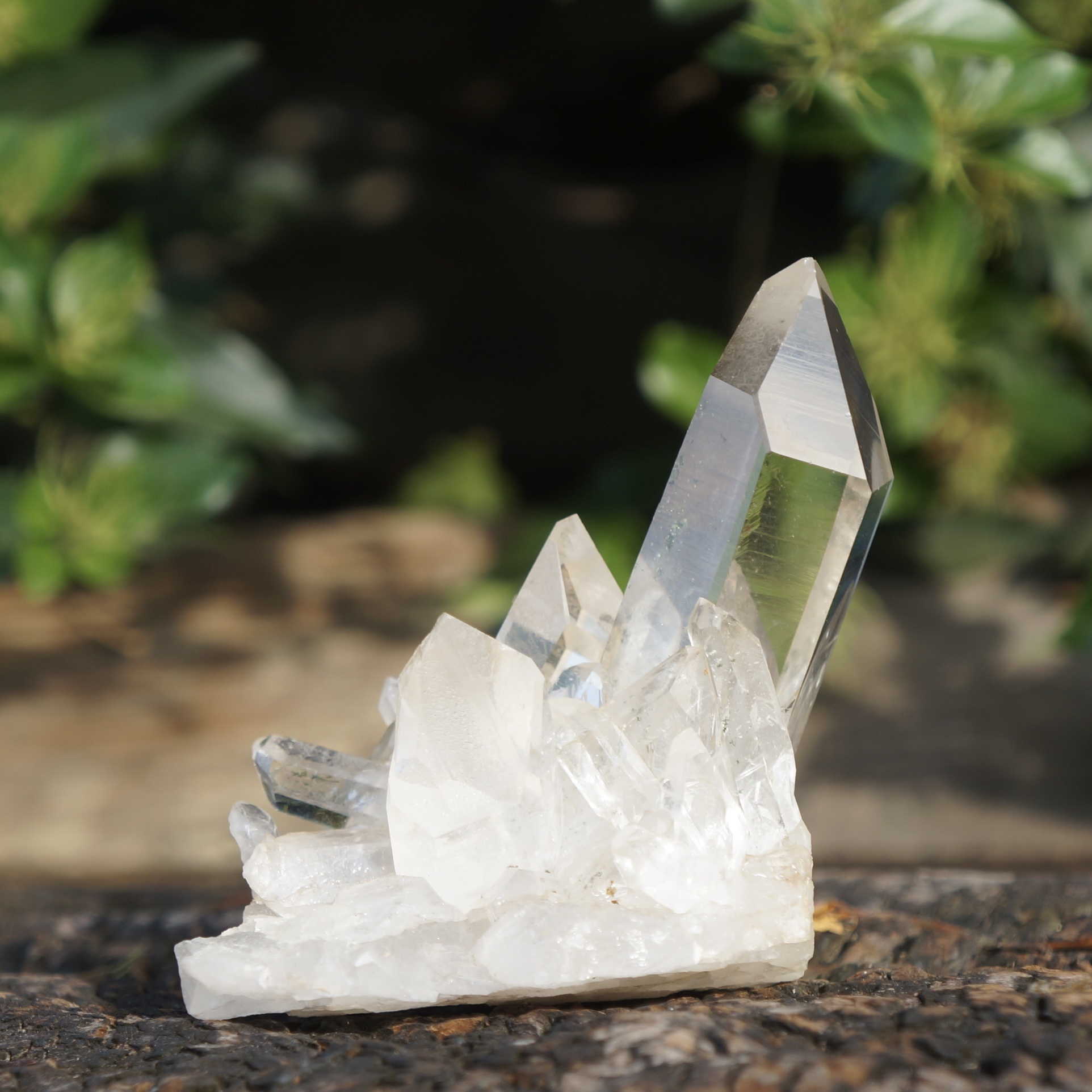 巴西淨透白晶簇 - Image 5