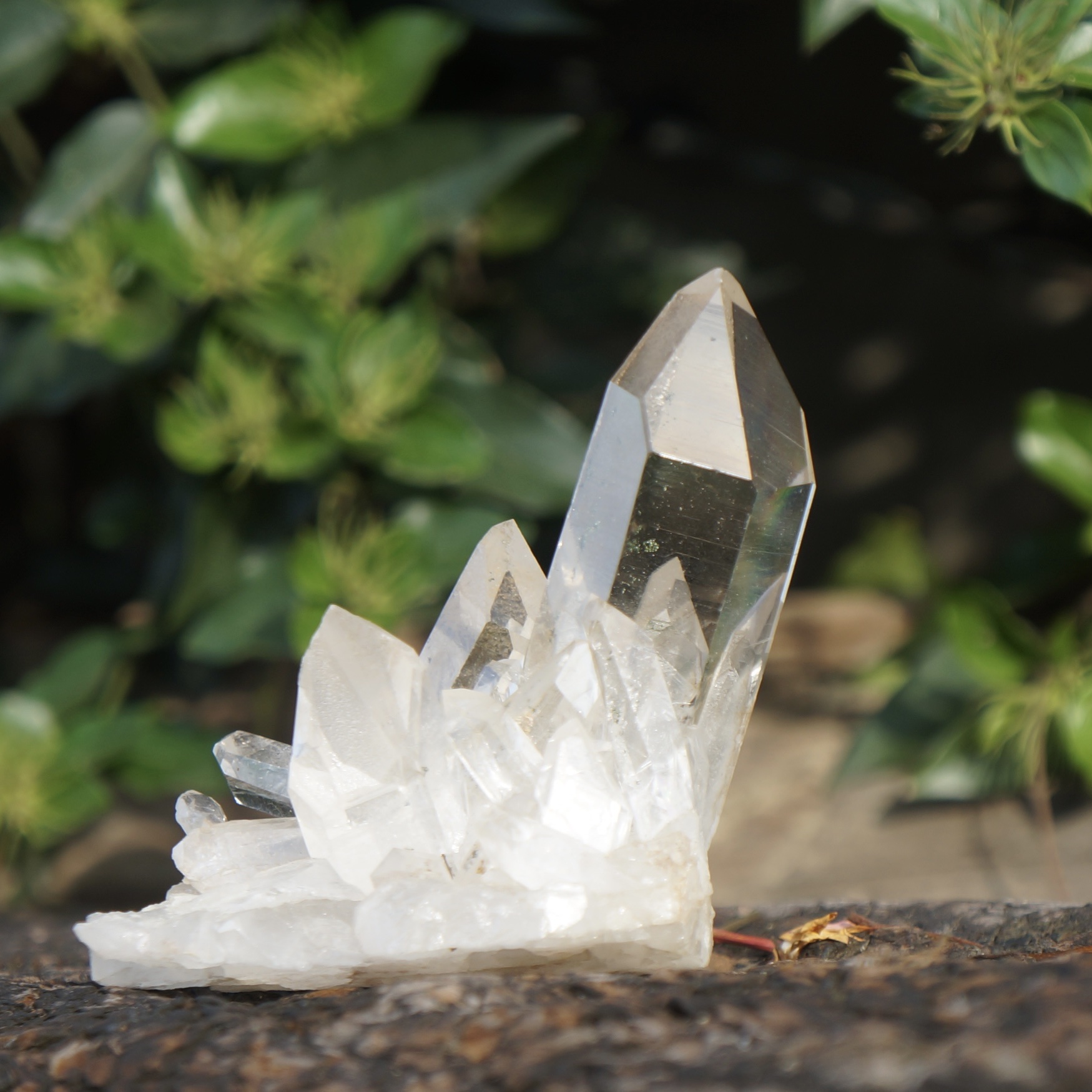 巴西淨透白晶簇 - Image 4