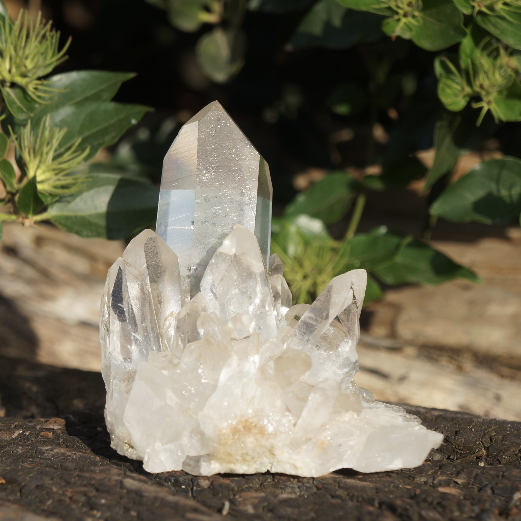 巴西淨透白晶簇 - Image 2