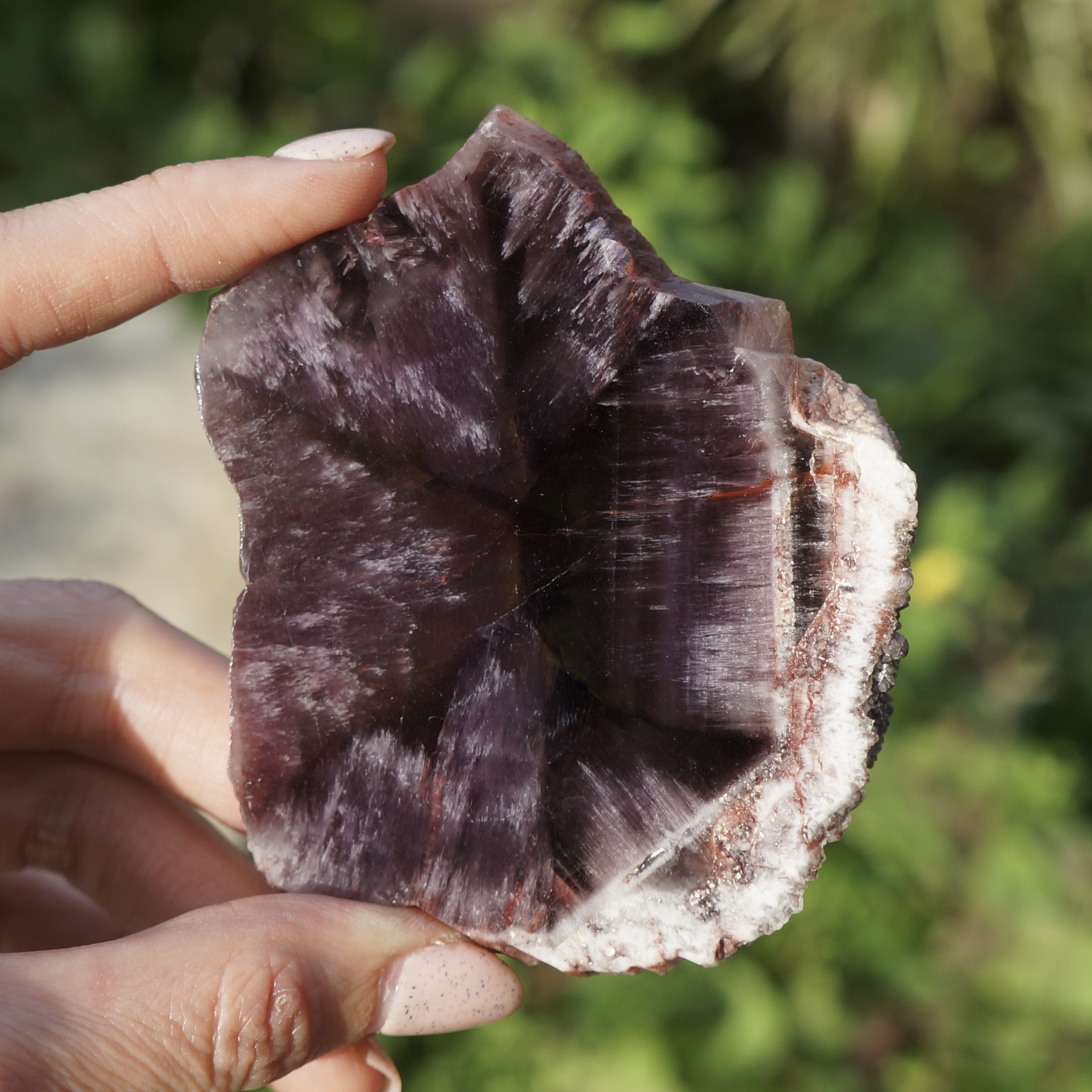 巴西極光23星光片