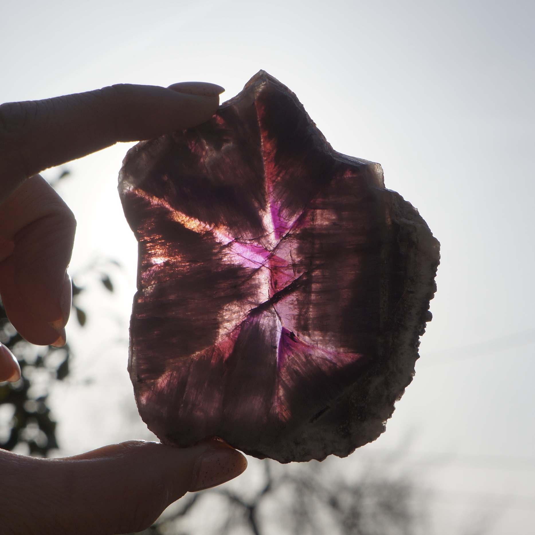 巴西極光23星光片 - Image 2