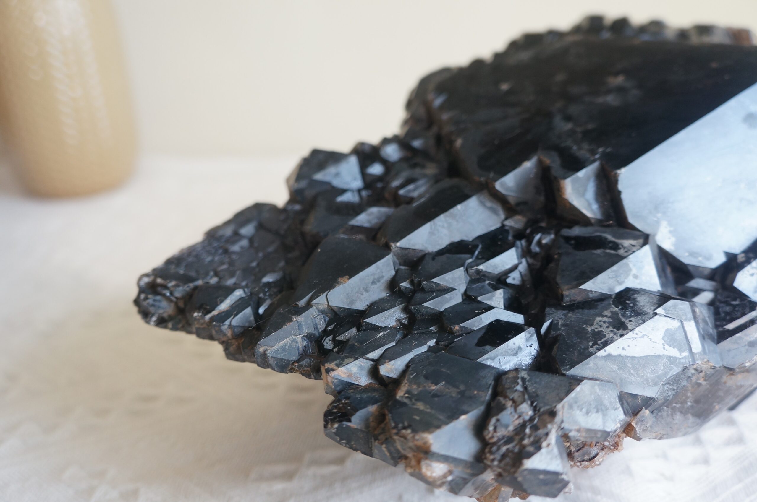 巴西黑駭骨鱷魚骨幹水晶