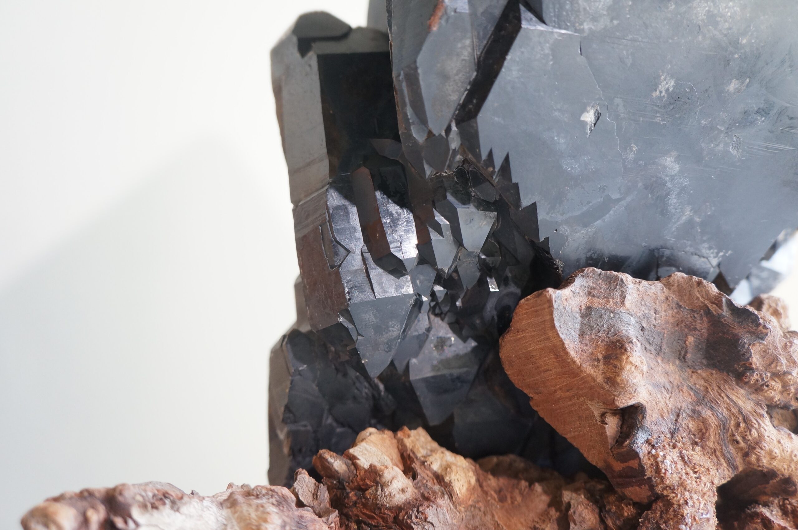 巴西黑駭骨鱷魚骨幹水晶 - Image 7