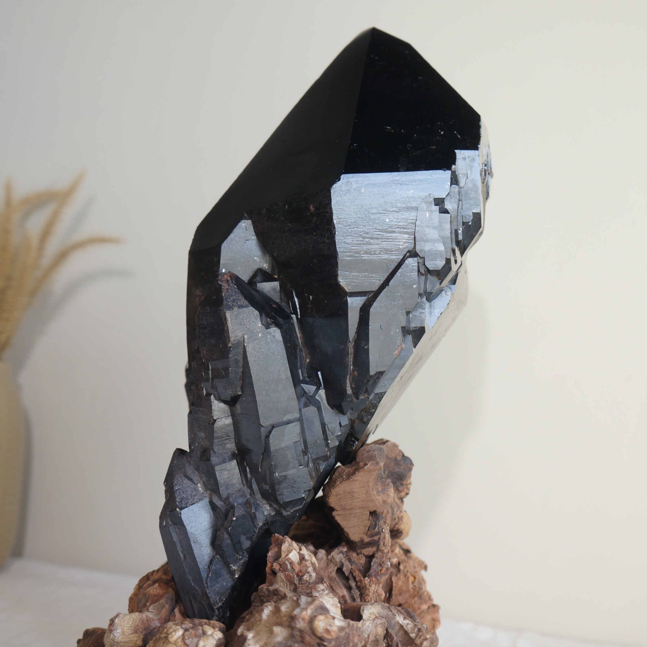 巴西黑駭骨鱷魚骨幹水晶 - Image 5