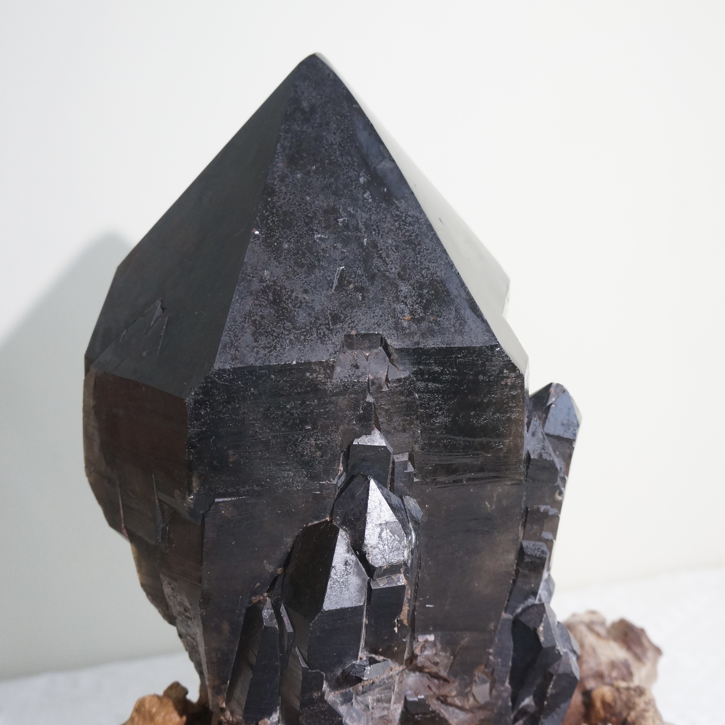 巴西黑駭骨鱷魚骨幹水晶 - Image 2