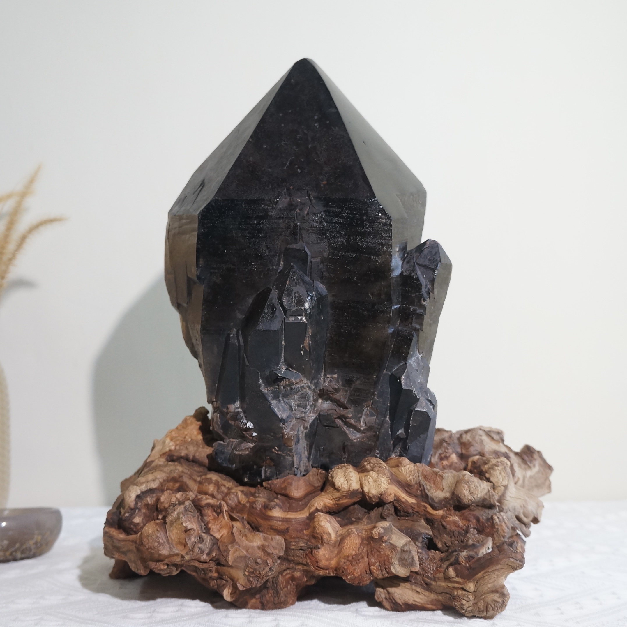 巴西黑駭骨鱷魚骨幹水晶 - Image 3