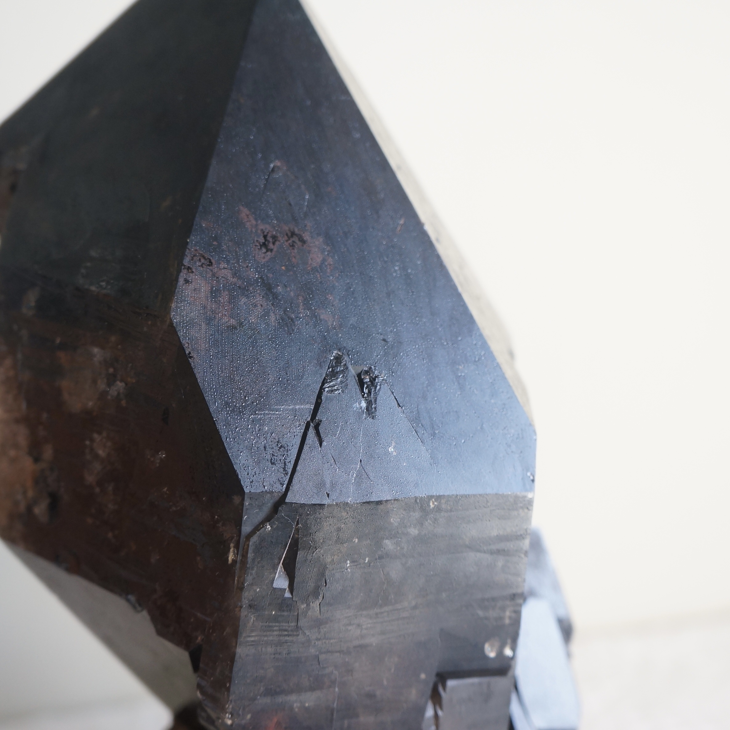 巴西黑駭骨鱷魚骨幹水晶 - Image 6