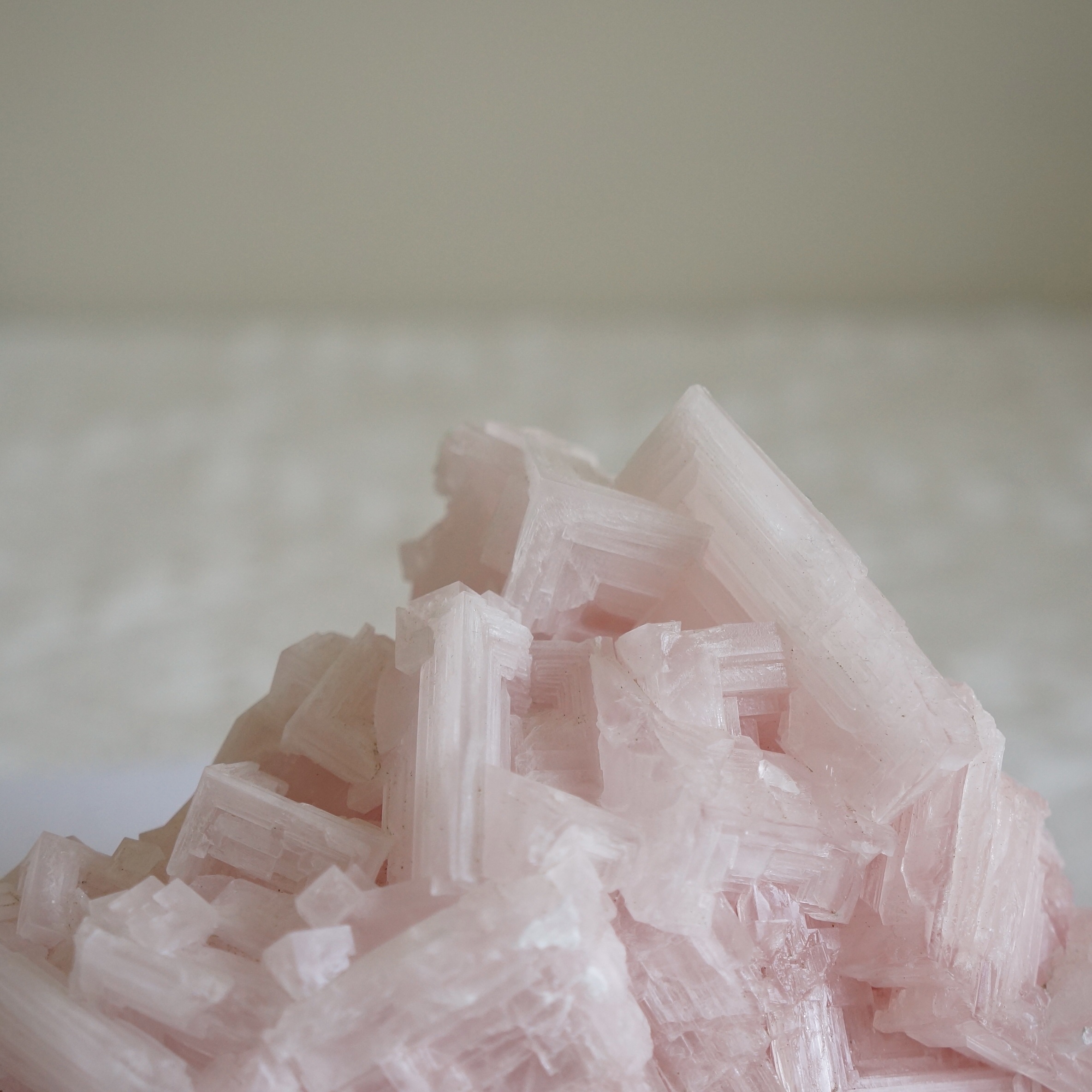 美國粉紅鹽礦:圖片 3