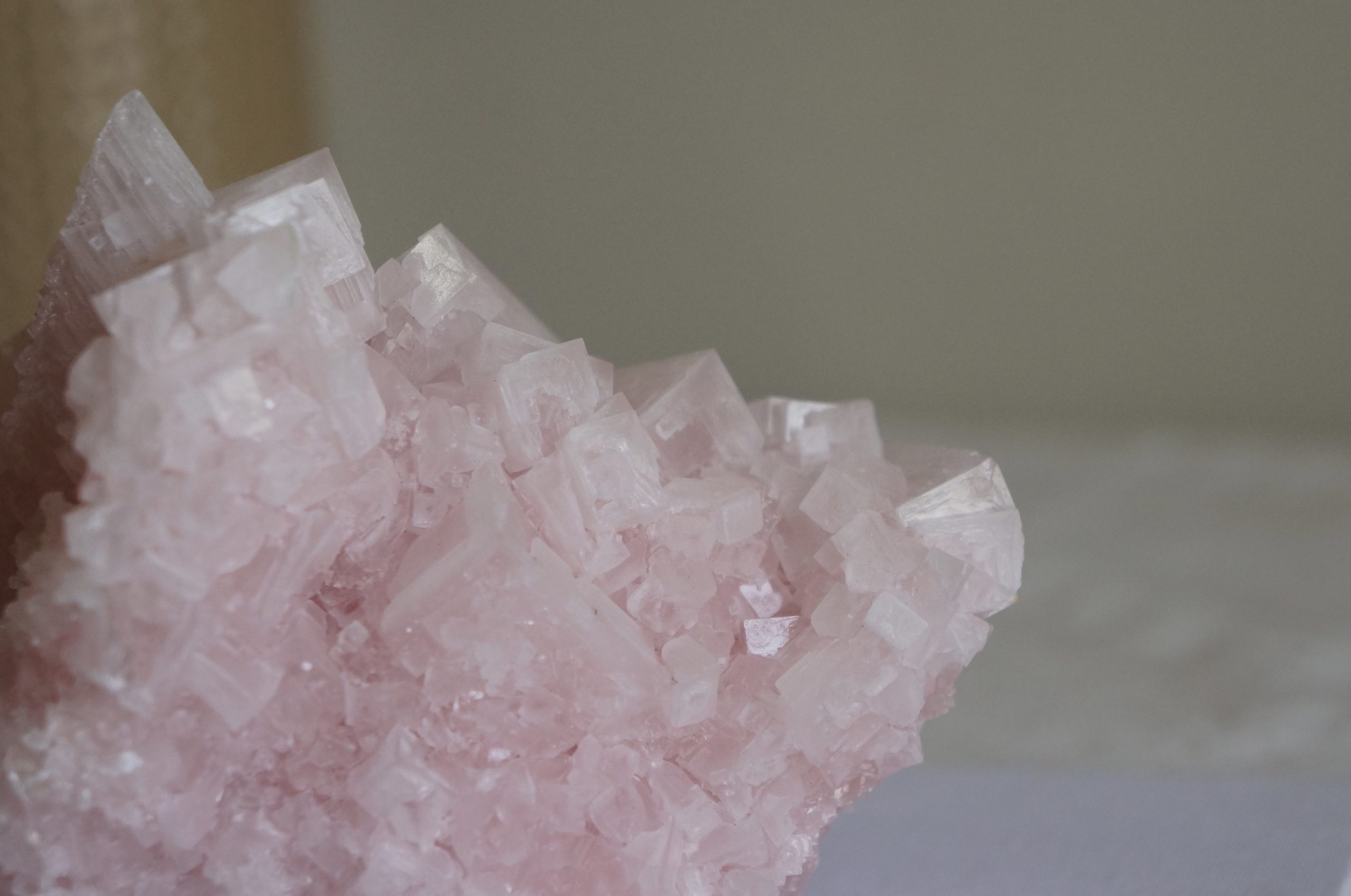 美國粉紅鹽礦:圖片 5