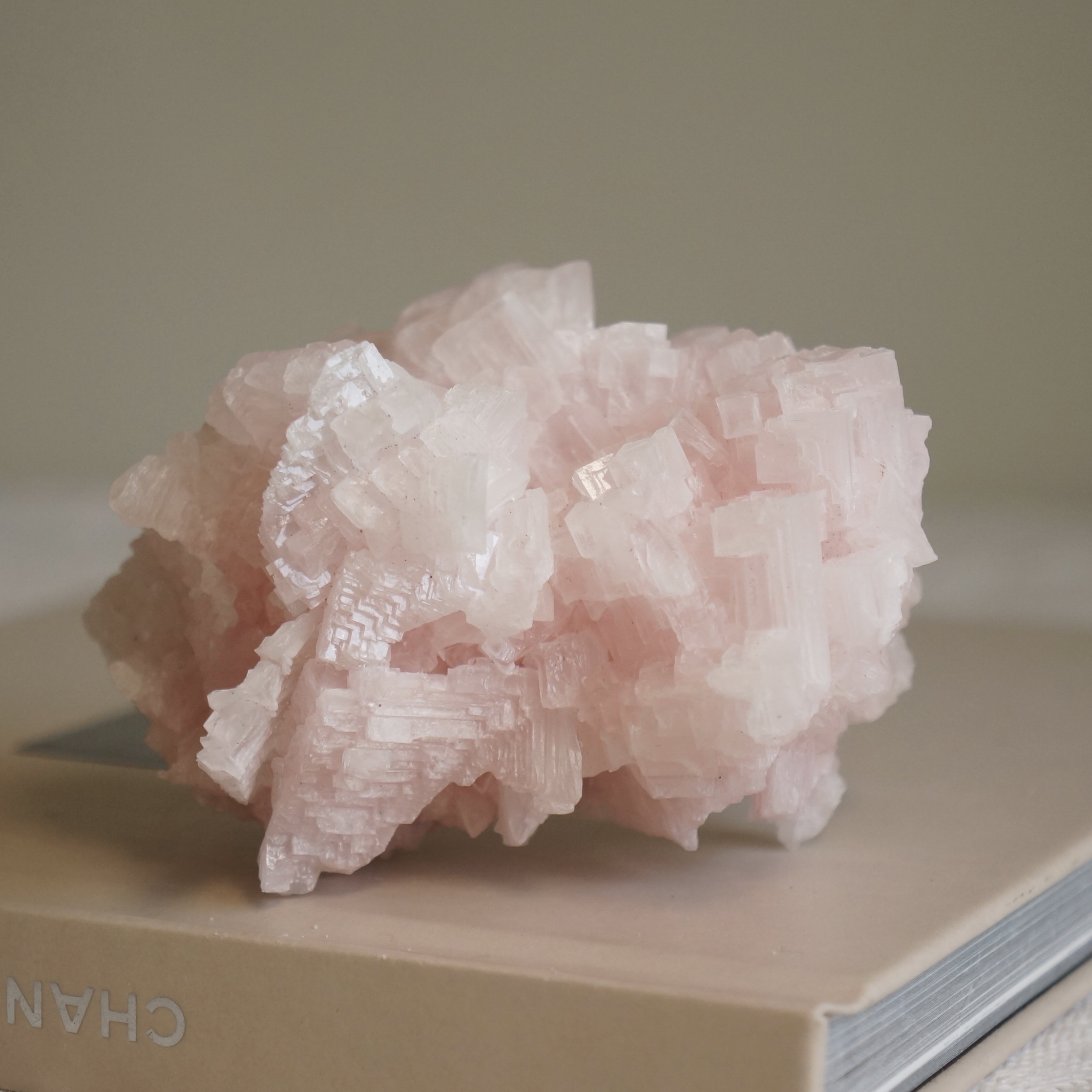 加州粉紅鹽礦:圖片 3