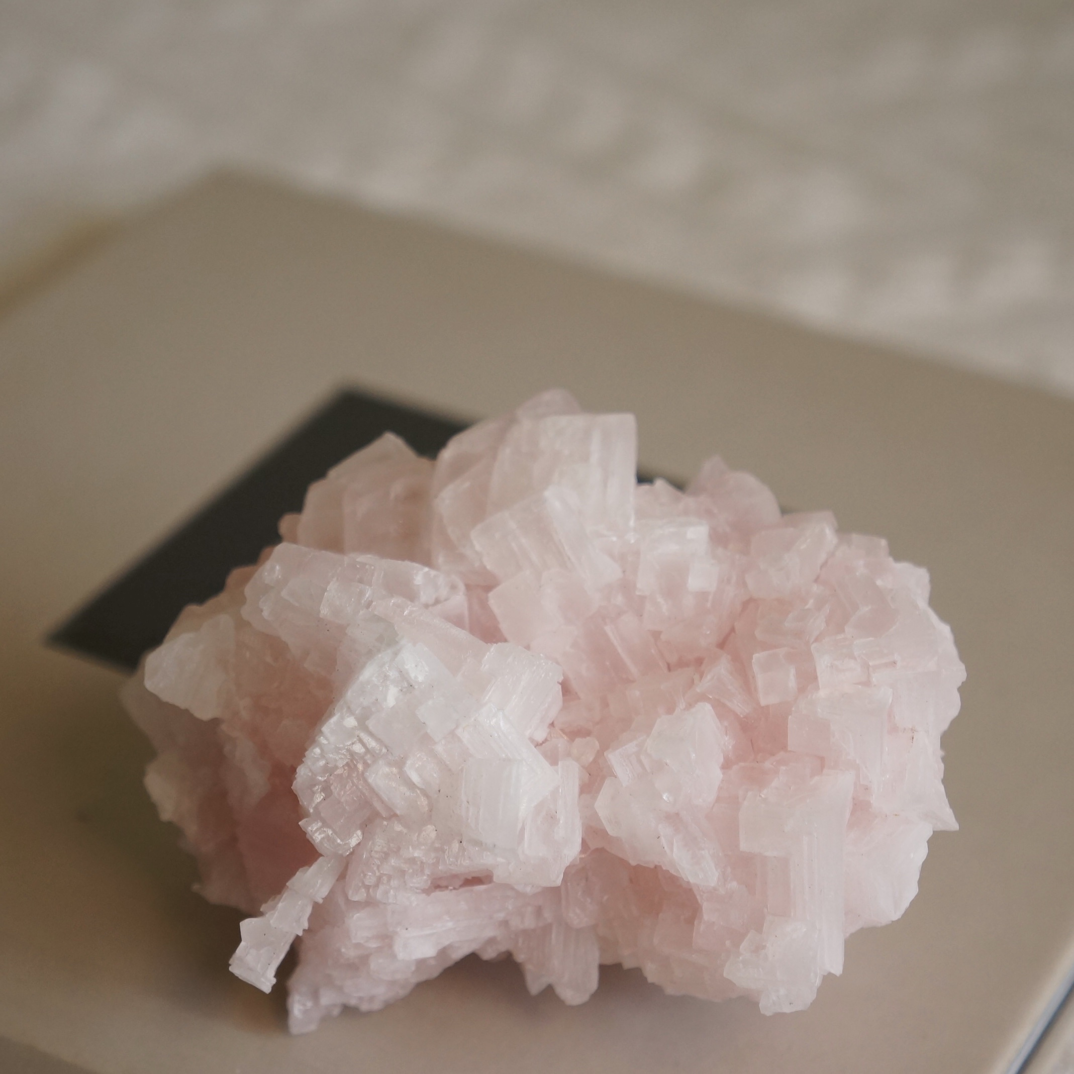 加州粉紅鹽礦:圖片 2