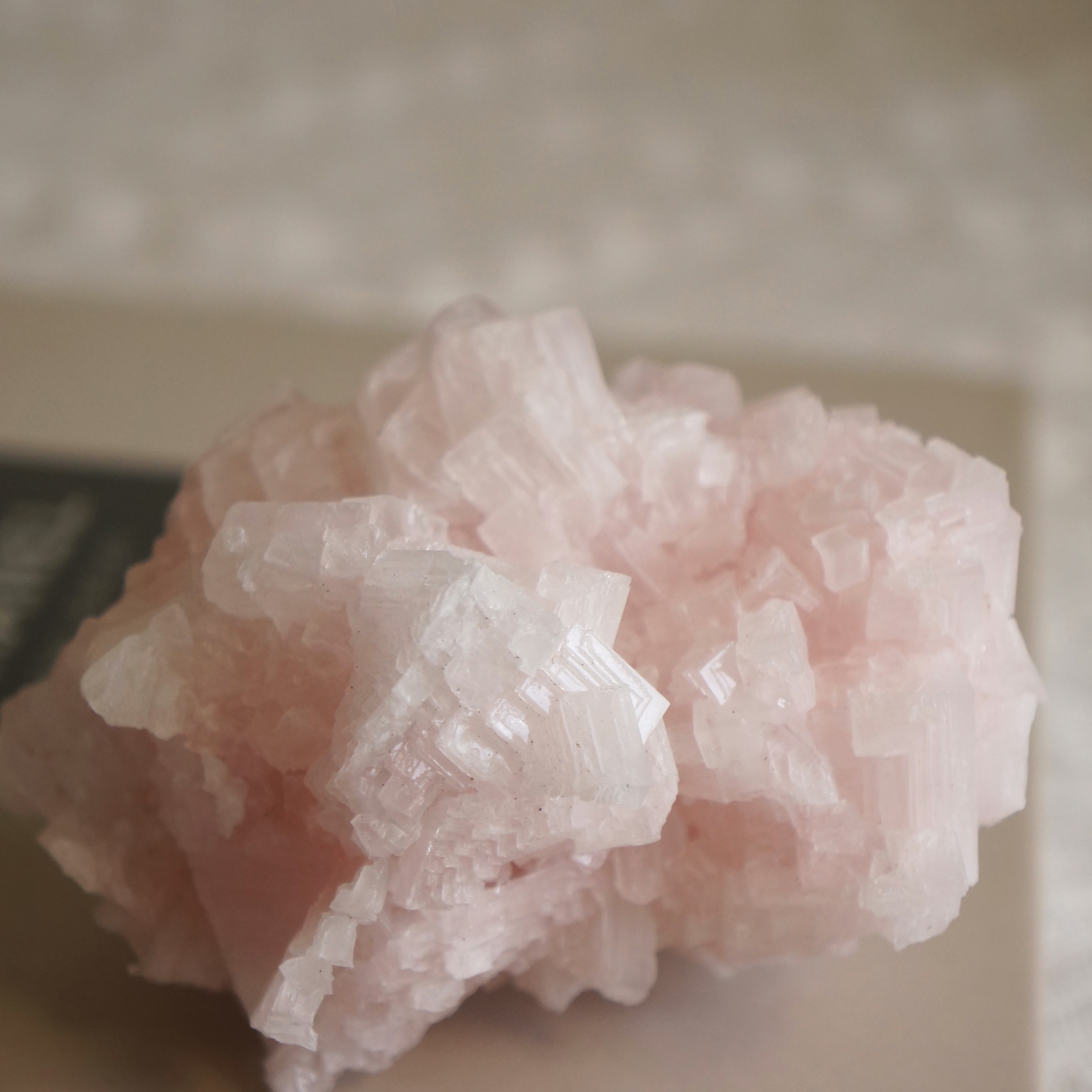 加州粉紅鹽礦:圖片 4