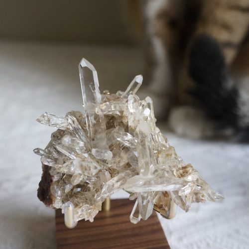 精品礦 廣東金龍透亮晶簇