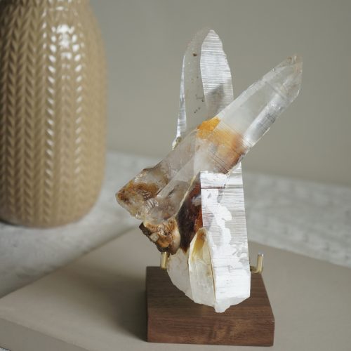 哥倫比亞雷姆利亞種子晶簇