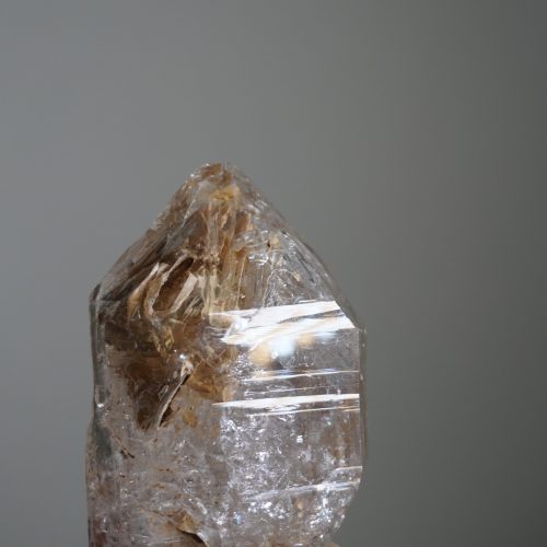 Alternative view of 亮皮雙尖黃泥駭骨