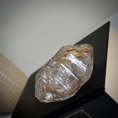 亮皮雙尖黃泥駭骨