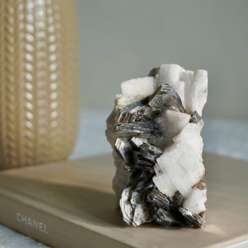 黑白經典 黑雲母花簇共生白長石